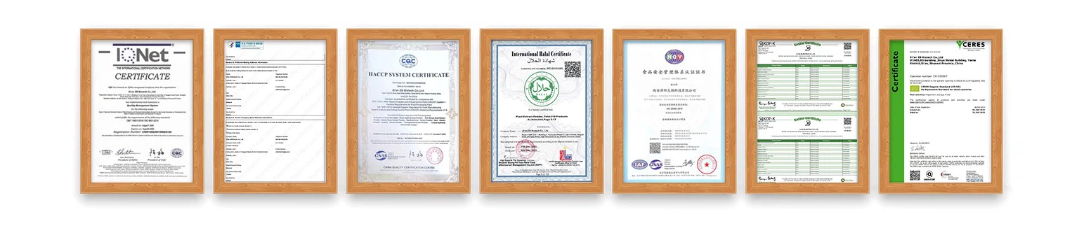 capsaicin bulk Powder capsaicin bulk Powder