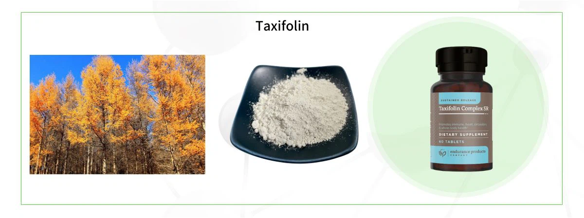 Taxifolin Taxifolin